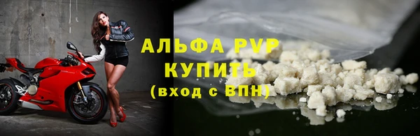 дживик Белокуриха