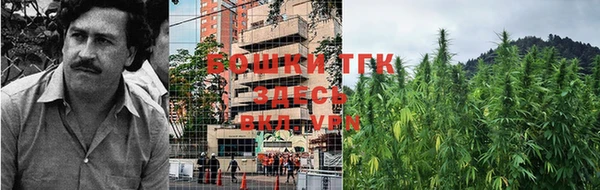 дживик Белокуриха