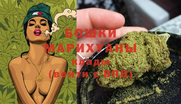 дживик Белокуриха