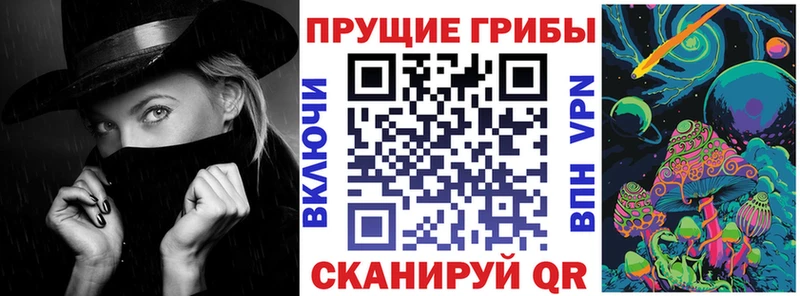 Галлюциногенные грибы Psilocybine cubensis  что такое   Вятские Поляны 